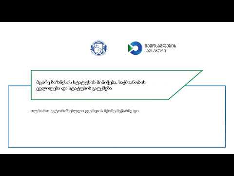 მცირე ბიზნესის სტატუსის მინიჭება, საქმიანობის ცვლილება და სტატუსის გაუქმება